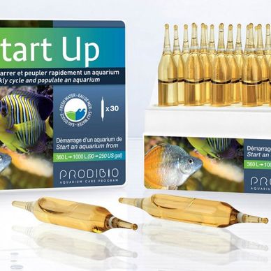 Start Up