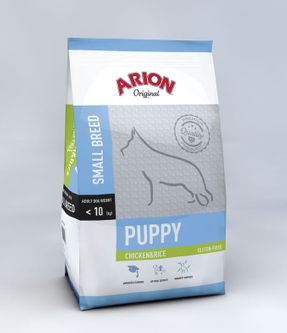 Arion puppy small
